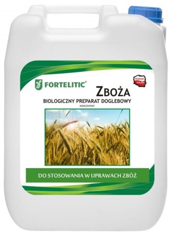 10000 zboża.jpg