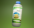 Fortelitic Rzepak.png