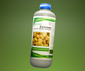 Fortelitic Ziemniaki.png