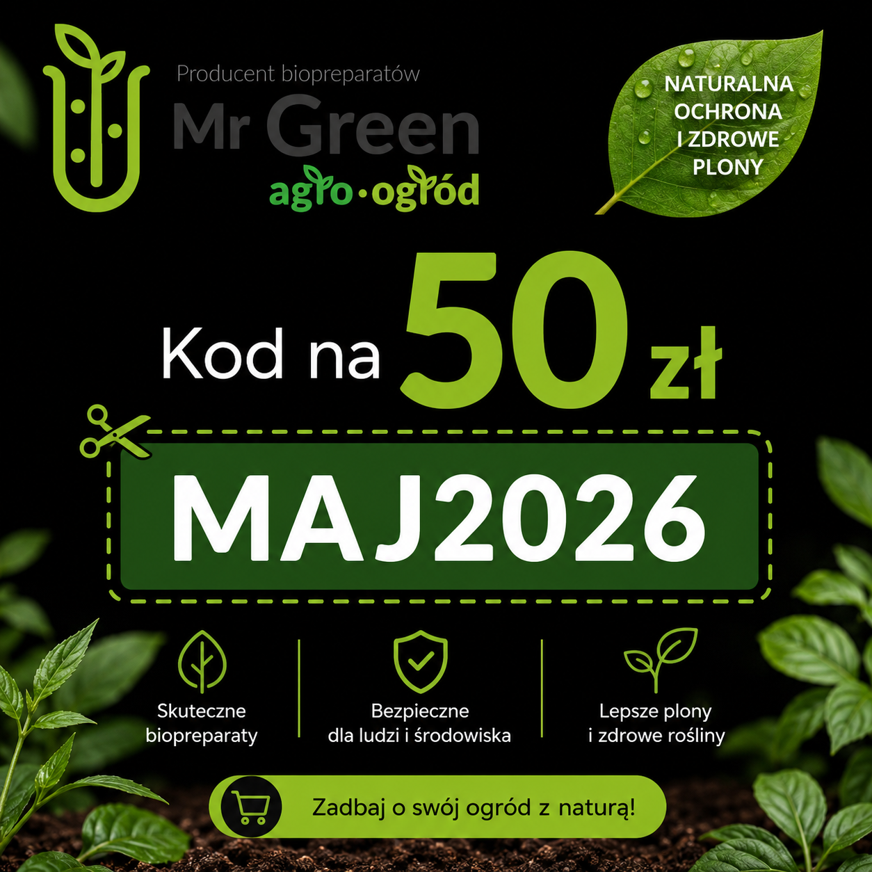 Promocja na Słoneczny Maj 2026